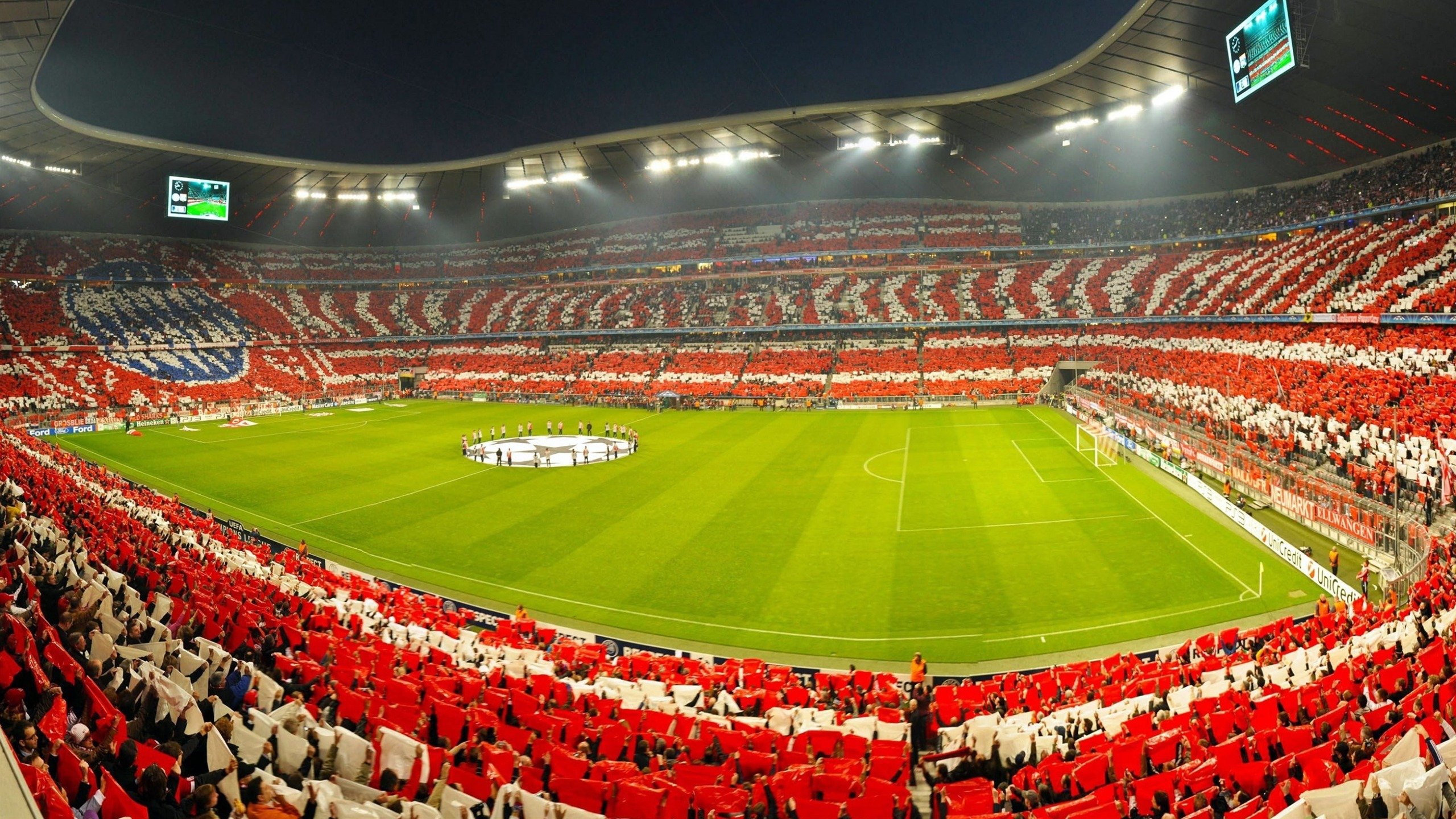 塔特的突破性表现，成为袋鼠队在橄榄球冠军锦标赛中的灵魂人物