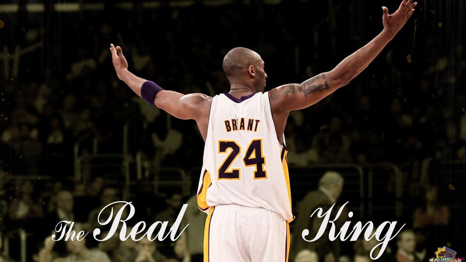 独行侠后卫表示将争取打出职业生涯新高，独行侠新主帅